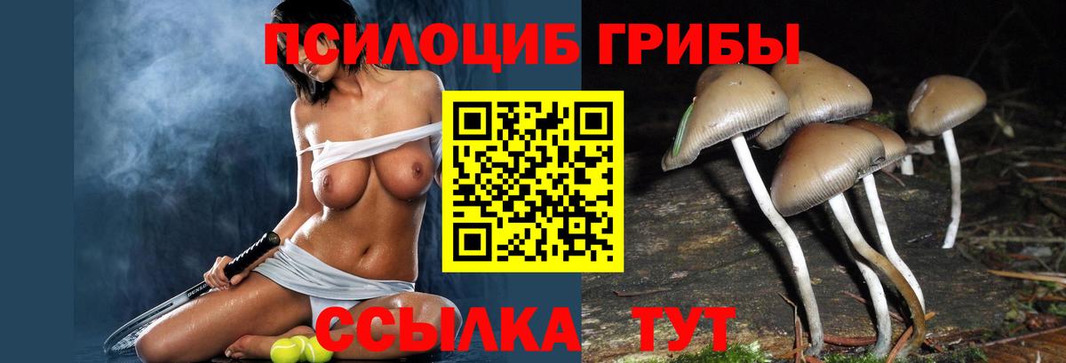 Галлюциногенные грибы прущие грибы Десногорск
